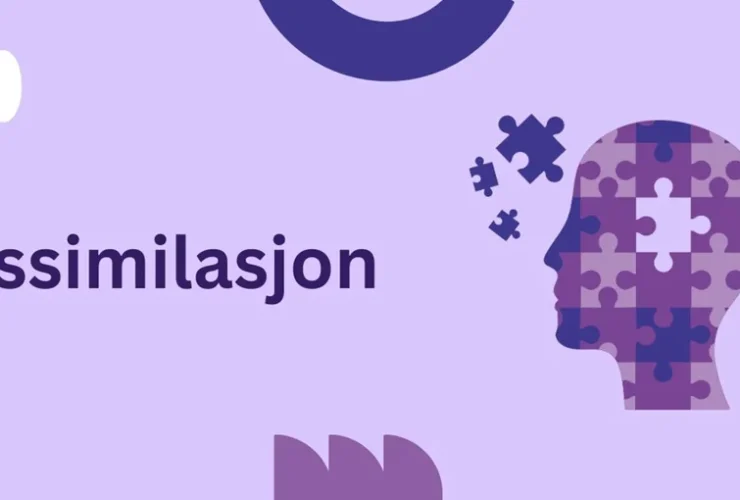 Assimilasjon