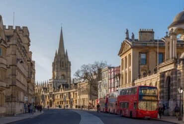 Rowdy oxford integris