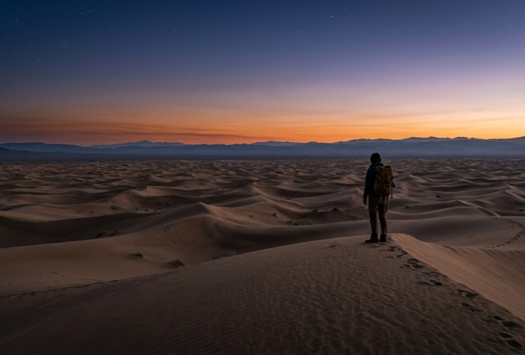 Immensheid