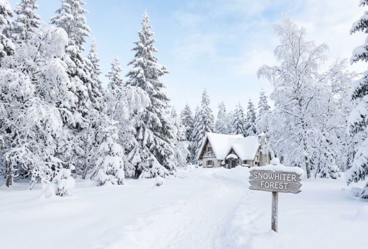 Snowhiter